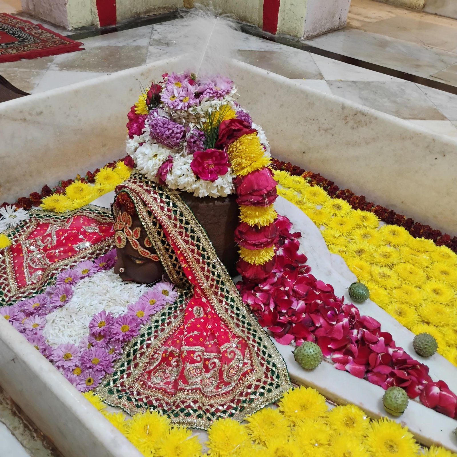 श्री गोप्रेक्षेश्वर महादेव मोक्षलिंग शिव-शक्ति धाम